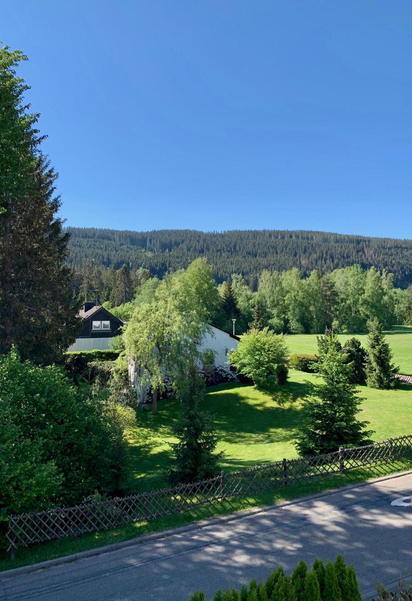 Ferienwohnung Homburger - Titisee Exteriér fotografie