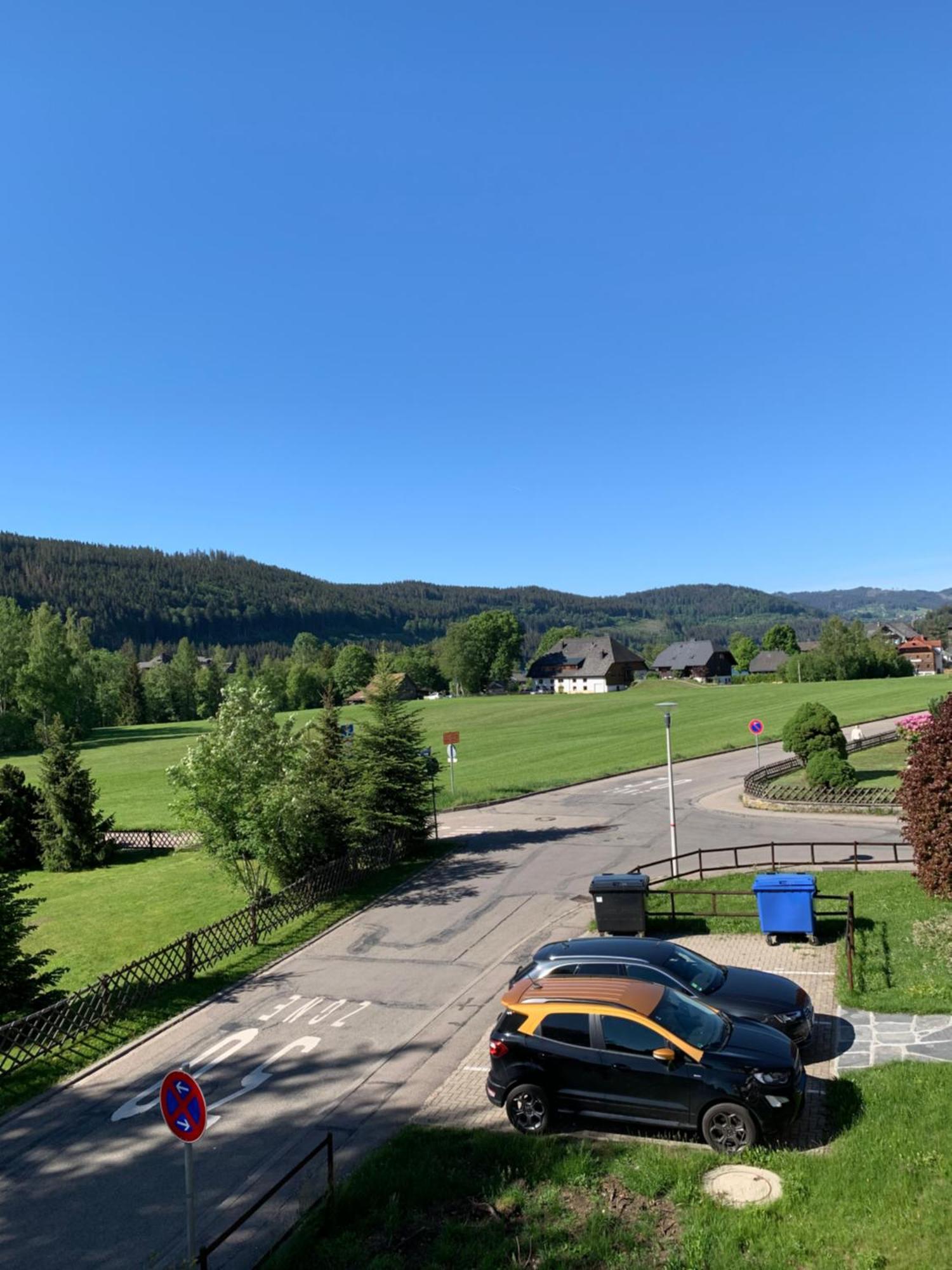 Ferienwohnung Homburger - Titisee Exteriér fotografie