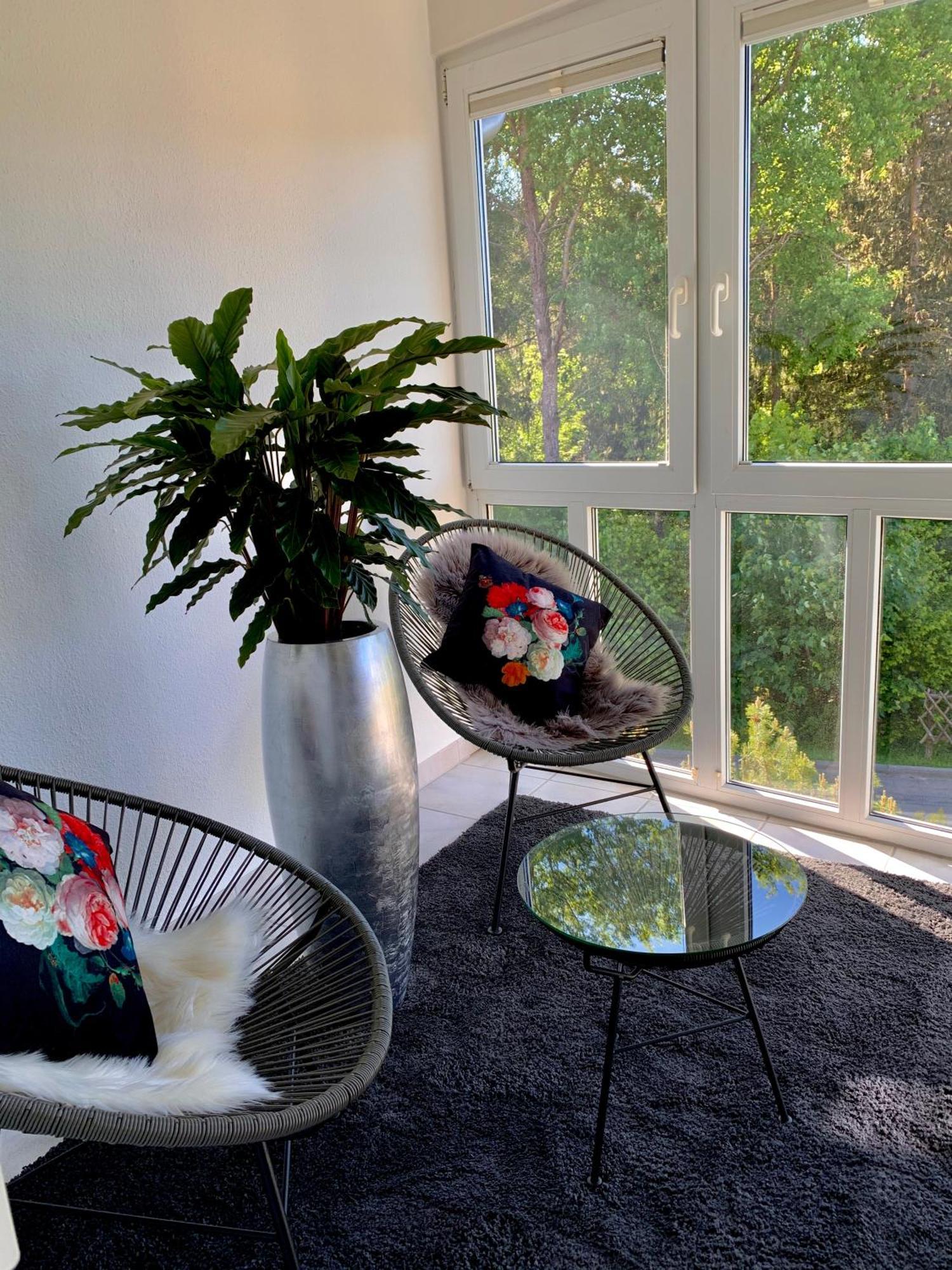 Ferienwohnung Homburger - Titisee Exteriér fotografie